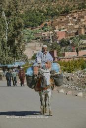 Image du Maroc Professionnelle de  Un berbère rentre chez lui à dos de mulet bien chargés de sacs de foins destinés à la nourriture du bétail après avoir fait ses courses au marché de Tnine Ourika, le village berbère située dans la vallée de l'Ourika sur la route de l'Oukaimden dans le haut Atlas, Mardi 27 Février 2007. (Photo / Abdeljalil Bounhar)